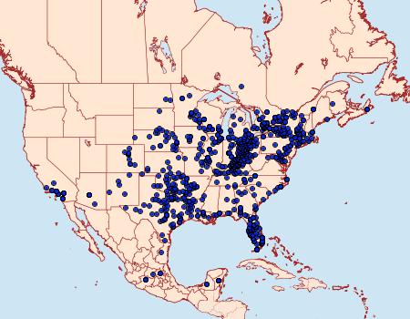 Distribution Data for Heraclides cresphontes