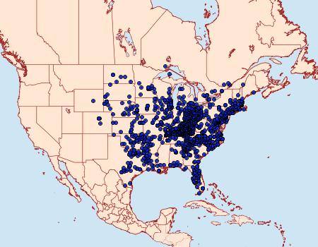 Distribution Data for Pterourus glaucus