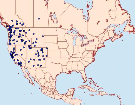 Distribution Data for Pterourus rutulus