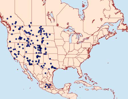 Distribution Data for Pterourus multicaudata