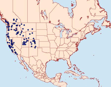 Distribution Data for Pterourus eurymedon