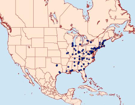 Distribution Data for Monopis longella