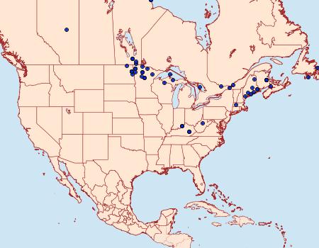 Distribution Data for Monopis monachella