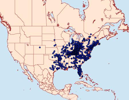 Distribution Data for Pterourus troilus