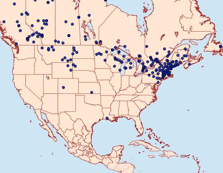 Distribution Data for Pterourus canadensis