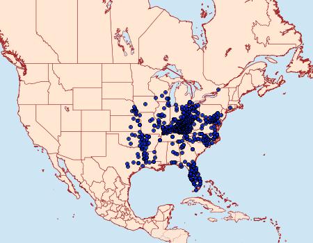 Distribution Data for Eurytides marcellus