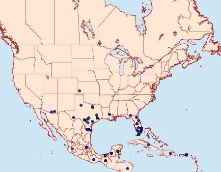 Distribution Data for Glutophrissa drusilla