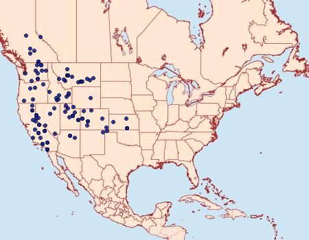 Distribution Data for Pontia beckerii