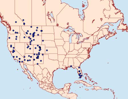 Distribution Data for Pontia sisymbrii