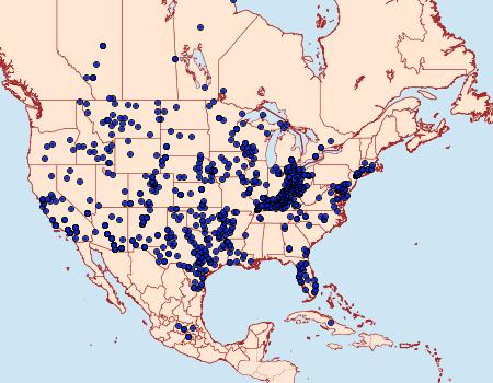 Distribution Data for Pontia protodice