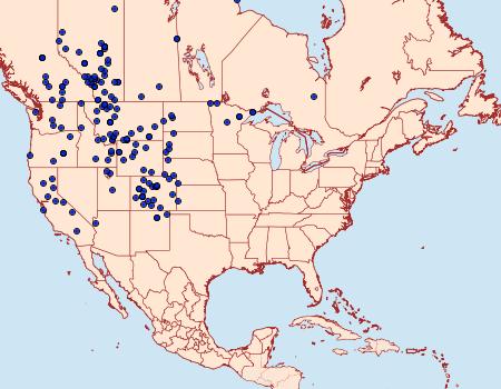 Distribution Data for Pontia occidentalis