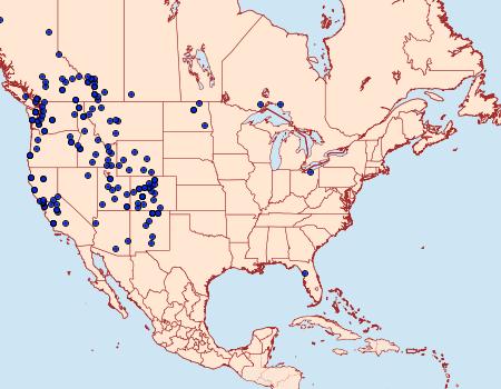 Distribution Data for Pieris marginalis