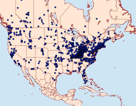 Distribution Data for Pieris rapae