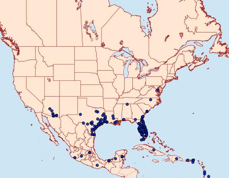 Distribution Data for Ascia monuste