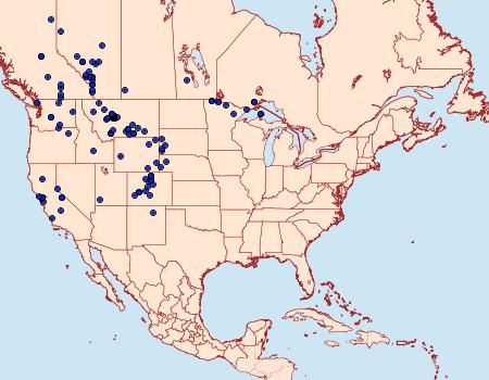 Distribution Data for Euchloe ausonides