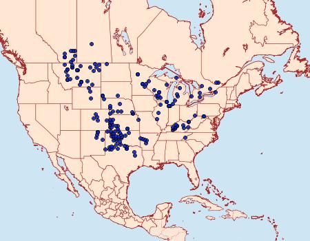 Distribution Data for Euchloe olympia