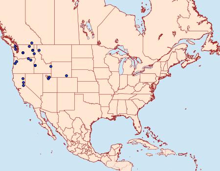 Distribution Data for Anthocharis julia