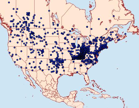 Distribution Data for Colias philodice