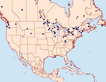 Distribution Data for Monopis spilotella