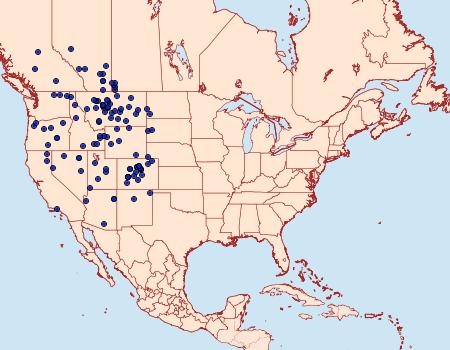 Distribution Data for Colias alexandra