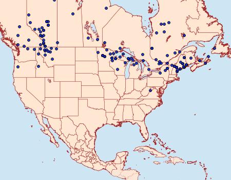 Distribution Data for Colias interior