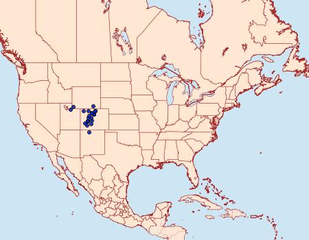 Distribution Data for Colias scudderii