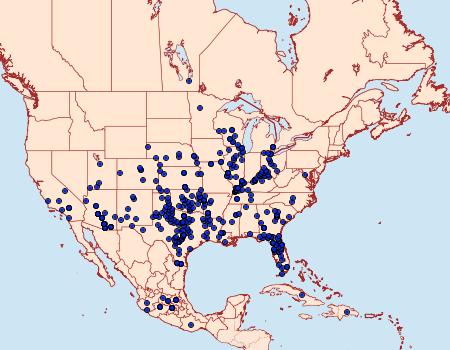 Distribution Data for Zerene cesonia