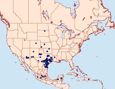 Distribution Data for Anteos clorinde