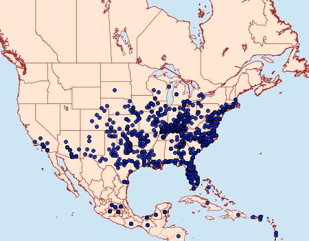 Distribution Data for Phoebis sennae