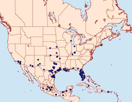 Distribution Data for Phoebis philea