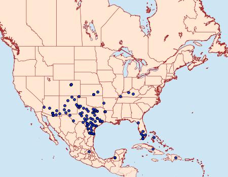 Distribution Data for Kricogonia lyside