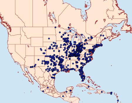 Distribution Data for Pyrisitia lisa