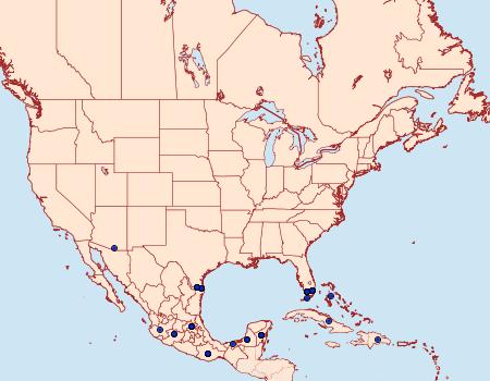 Distribution Data for Pyrisitia dina