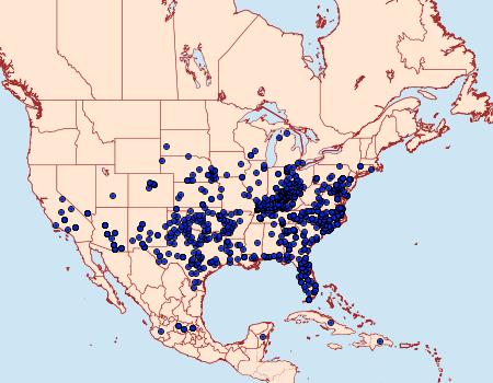 Distribution Data for Abaeis nicippe