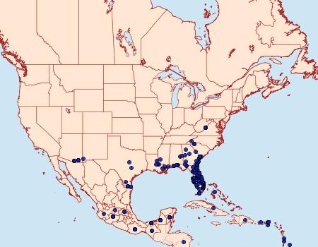 Distribution Data for Eurema daira