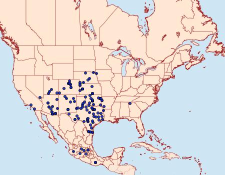 Distribution Data for Abaeis mexicana