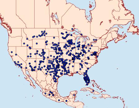 Distribution Data for Nathalis iole