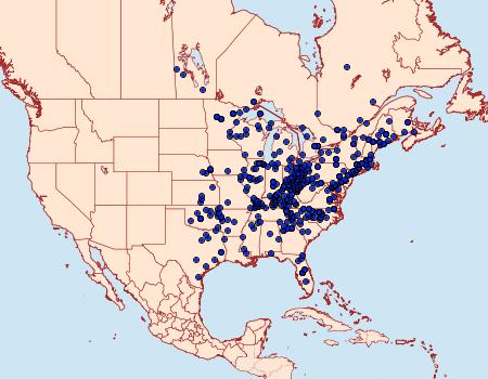 Distribution Data for Feniseca tarquinius