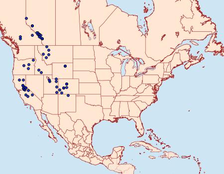 Distribution Data for Lycaena cupreus