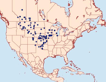 Distribution Data for Tharsalea dione