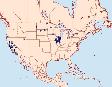 Distribution Data for Tharsalea xanthoides