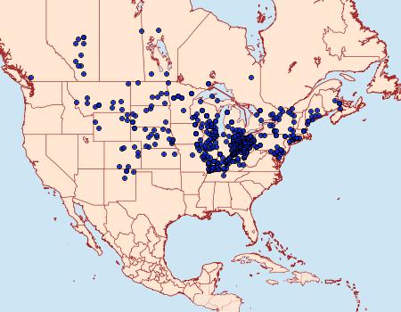 Distribution Data for Tharsalea hyllus