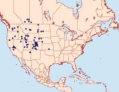 Distribution Data for Tharsalea rubidus