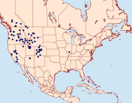 Distribution Data for Tharsalea heteronea