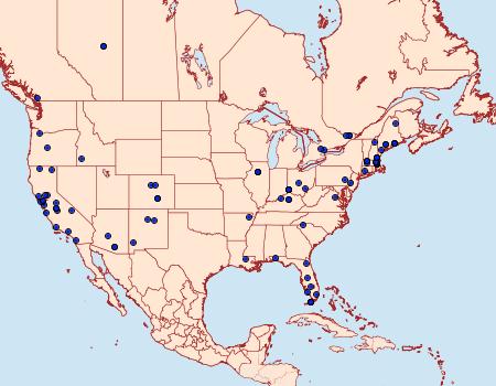 Distribution Data for Tineola bisselliella