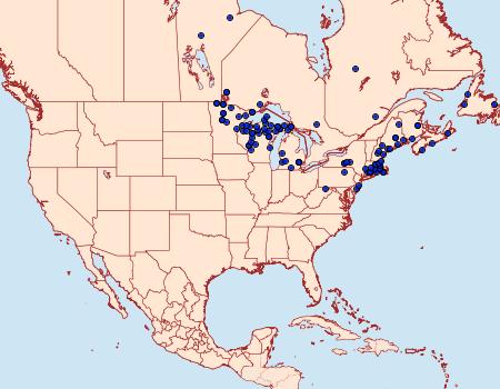 Distribution Data for Tharsalea epixanthe