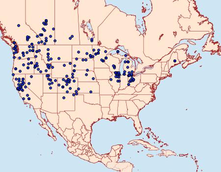 Distribution Data for Tharsalea helloides