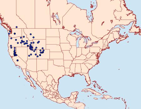 Distribution Data for Tharsalea nivalis