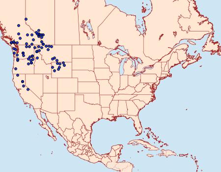 Distribution Data for Tharsalea mariposa