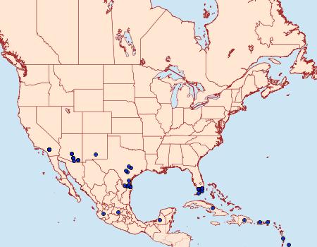 Distribution Data for Chlorostrymon simaethis